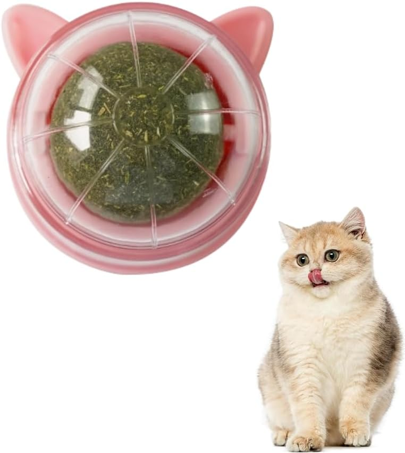 Catnip Ball Rotatable Lickable Tooth Cleaning Dental Toy for Cats and Kittens - Interactive Chew Toy with Wall Treats (Light Red)