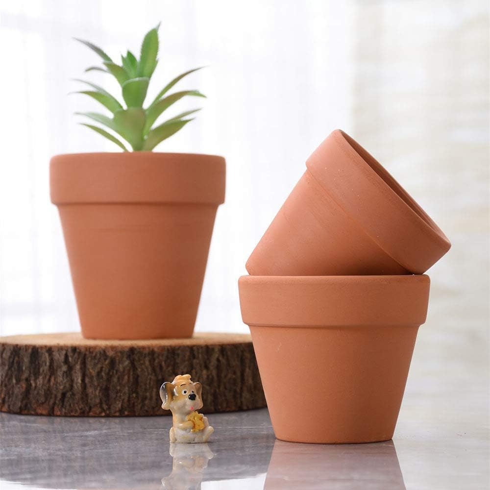 Goldblue 3 Inch Terra Cotta Pots Pack of 10 Flower Pots with Drainage Holes Small Craft Nursery Cactus Pot Water Permeable Succulent Plant Pottery Clay Flower Pots image number 1
