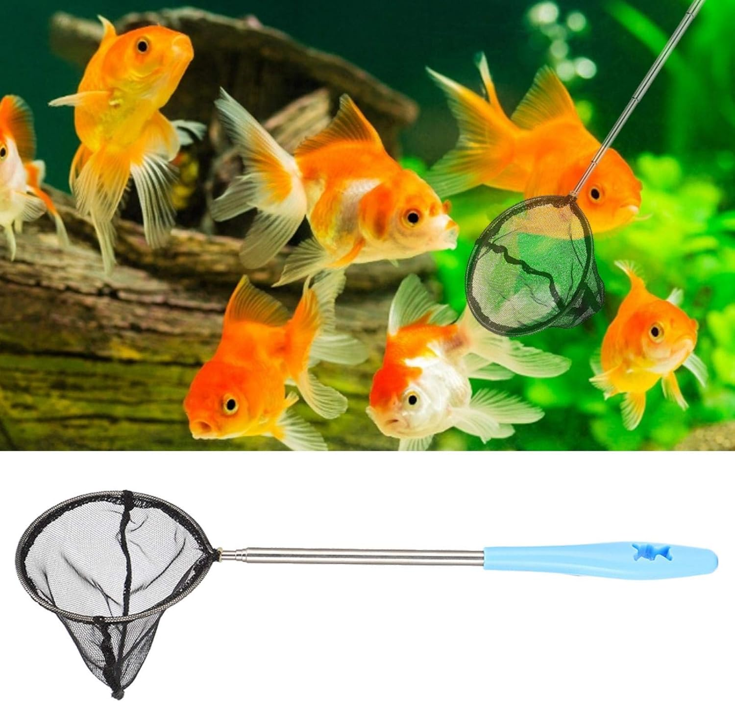 Skimmer Net, Aquarium Fine Mesh Net, Fish Shrimp Net Extendable for Shrimp Aquarium Fishing Tank for Small Fishround Shape image number 4
