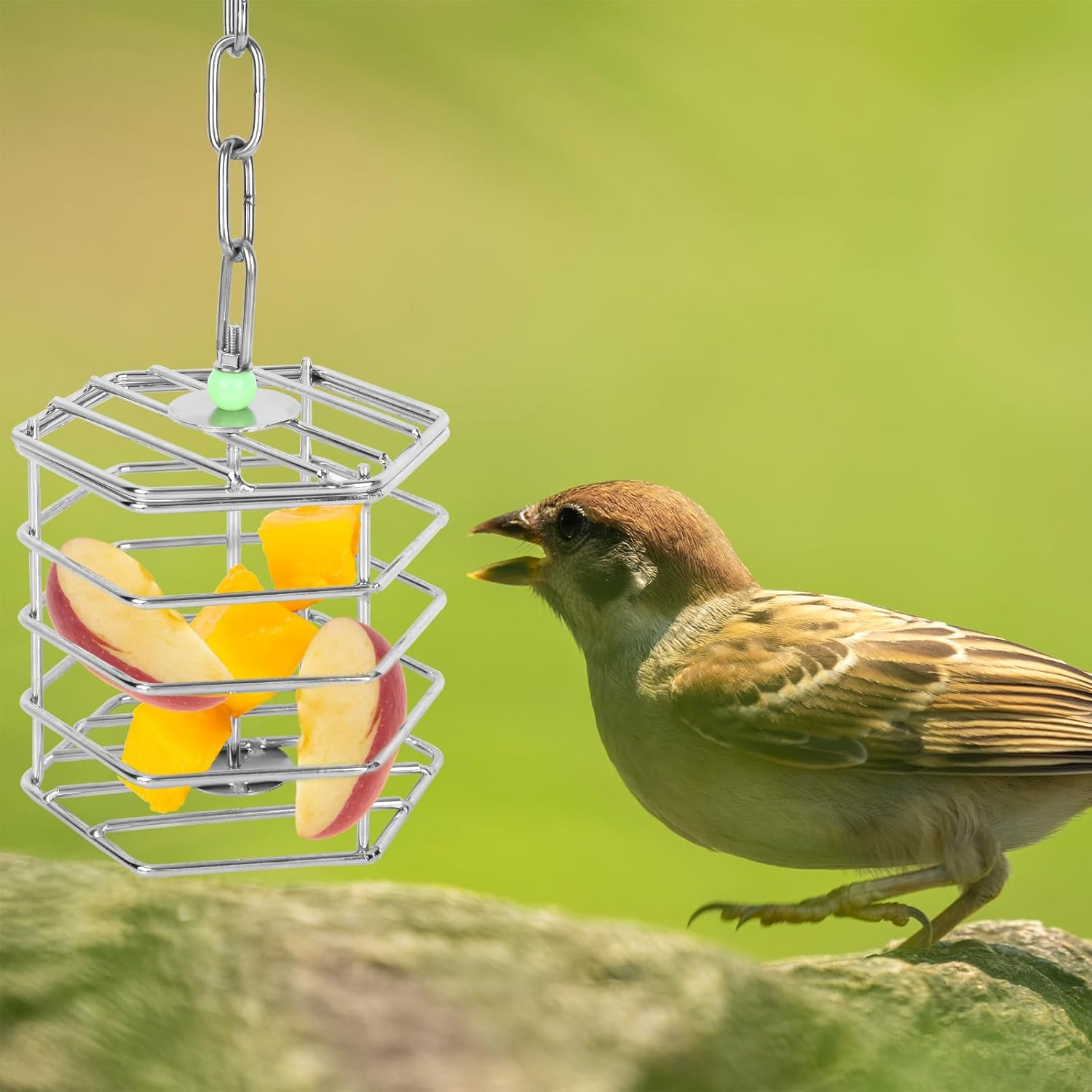 Stainless Steel Bird Feeder Cage with Chain & Bead, Hanging Bird Food Holder Intelligent Feeding Box Millet Treat Holder for Macaw Cockatoo Cockatiel Parrot image number 3