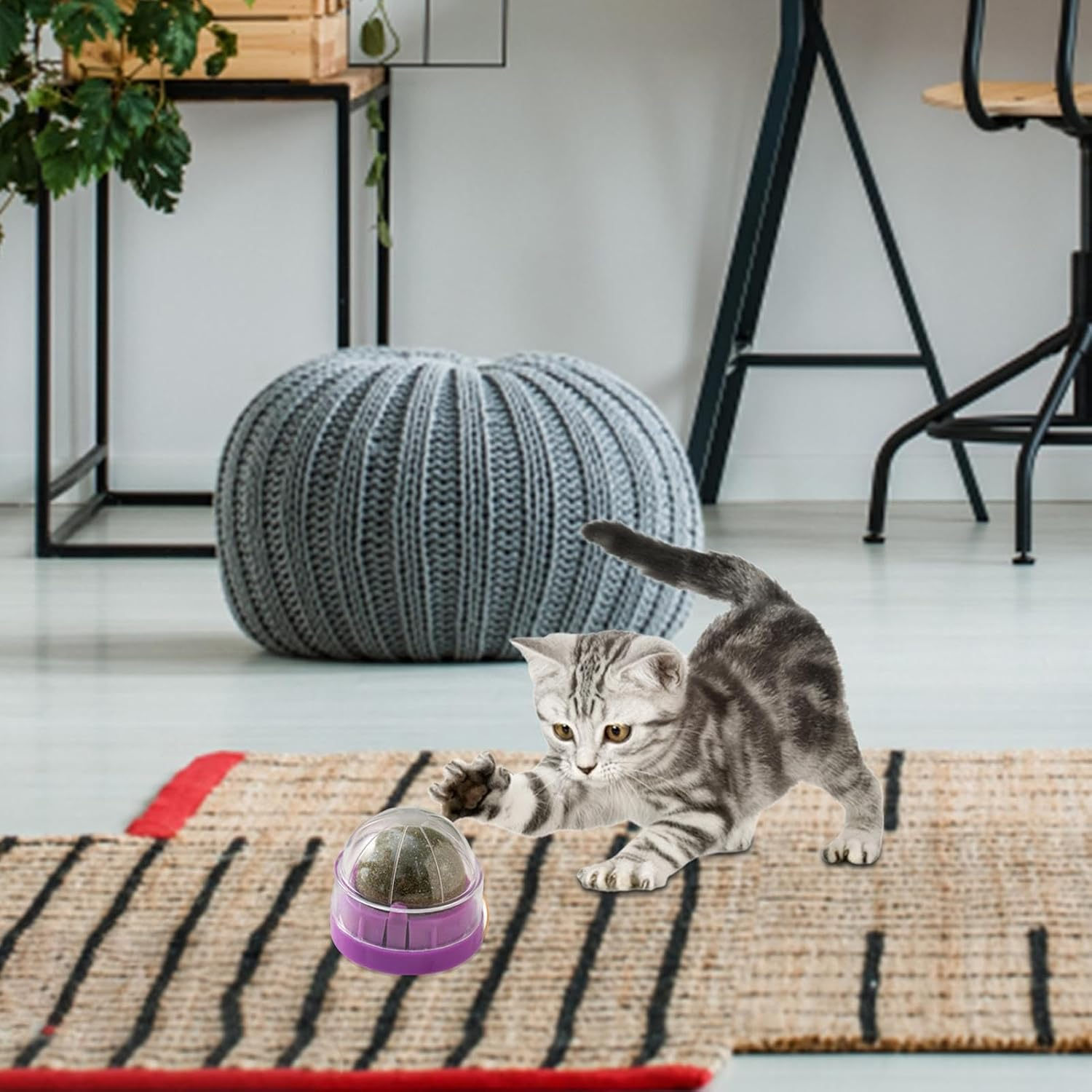 Catnip Wall Ball Toy | Rotatable Edible Kitten Toys for Cats Lick - Healthy Teeth Cleaning Chew Toys, Organic Ball Edible Kitten Toys, Cat Wall Treats, Catnip Lickable Balls Borato