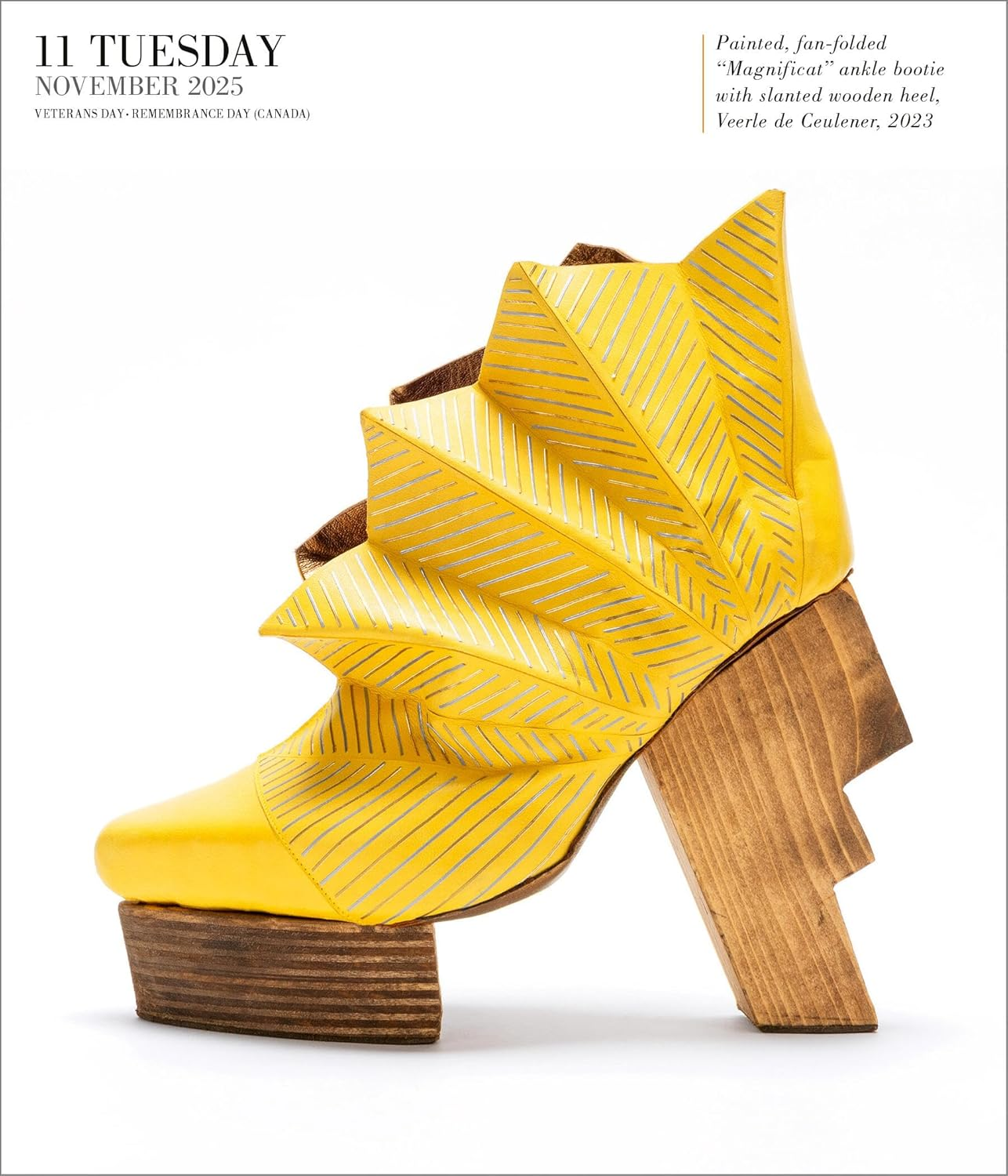 Shoes Page-A-Day Gallery Calendar 2025: Everyday a New Pair to Indulge the Shoe Lover'S Obsession