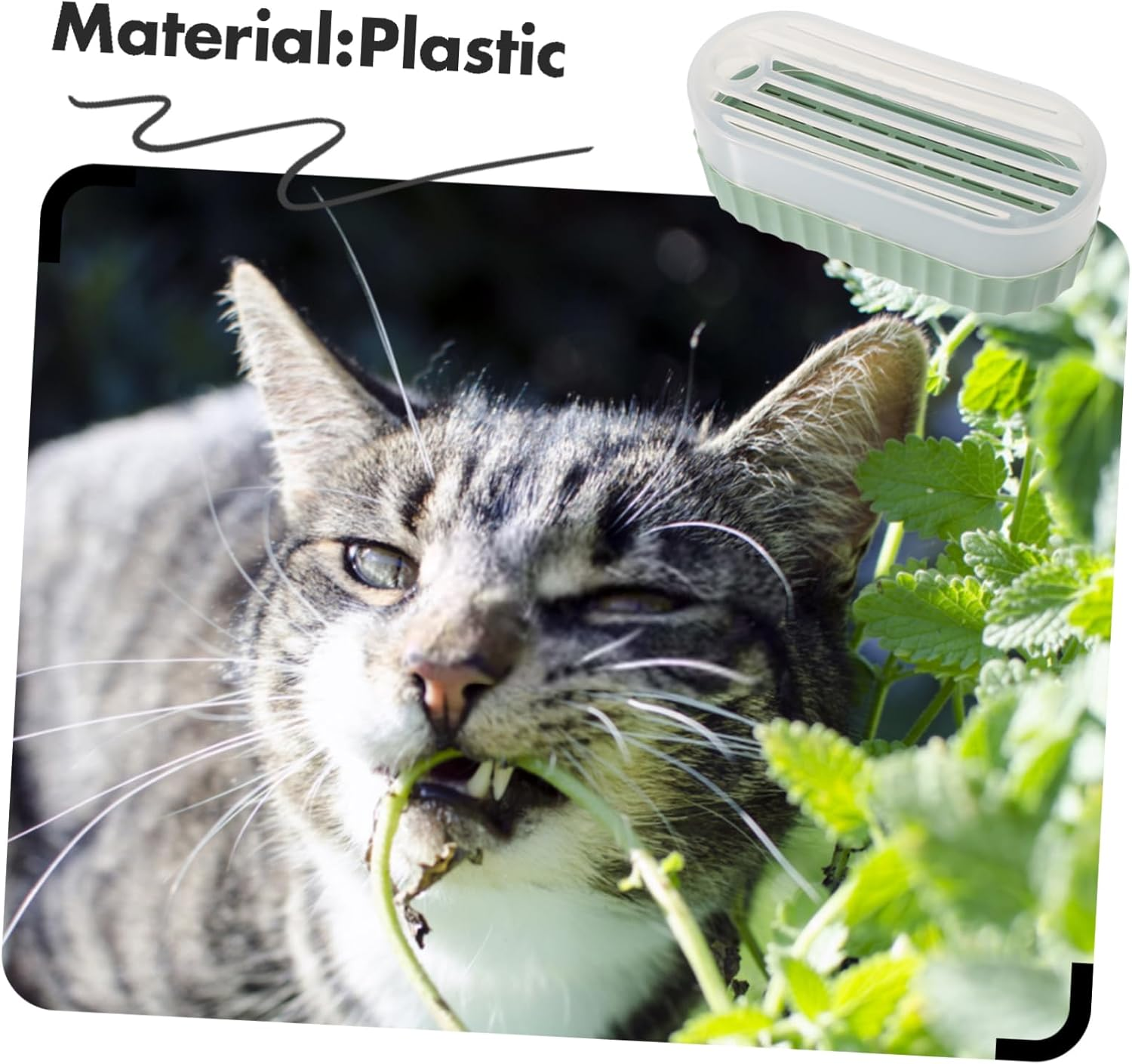 Cat Grass Planter Soilless Hydroponic Catnip Growing Box Creative Indoor Gardening Cat Supplies for Growing at Home image number 4