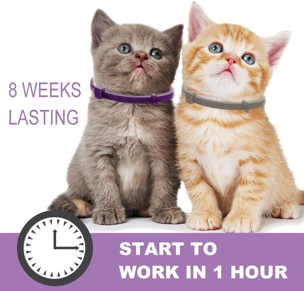 Toulifly Calming Collar, Cat Collar for Calming Anxiety and Aggression, Pheromones for Cats and Cats, Relieves Anxiety, Constant Calming -2 Pack image number 6