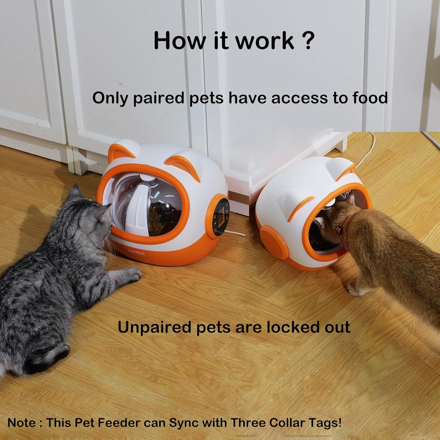 AUTENS RFID Automatic Cat Feeders, Automatic Pet Feeder for Cats and Small Dogs, for Separate Dietary Needs, Prevent Food Stealling with Light Collar Tag image number 5