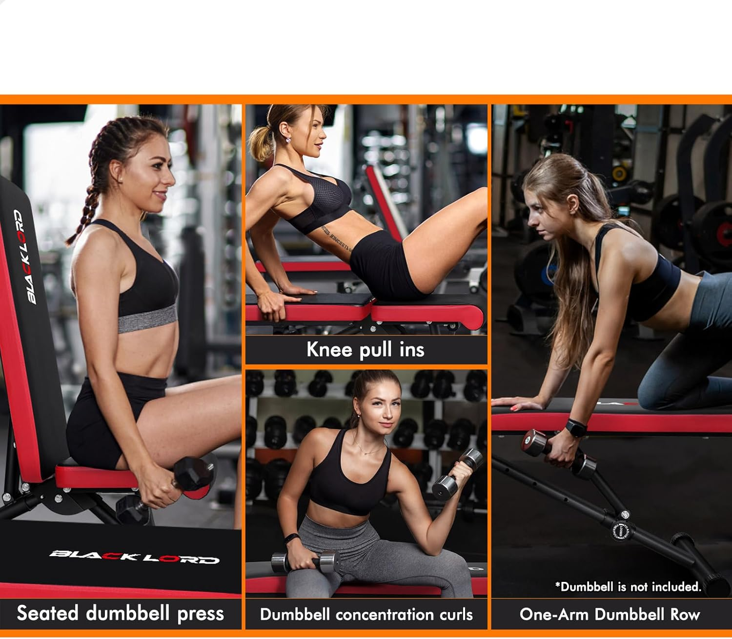 BLACK LORD FID Bench Weight Bench Press Foldable Full Body Training Equipment for Home Gym Workout Fitness