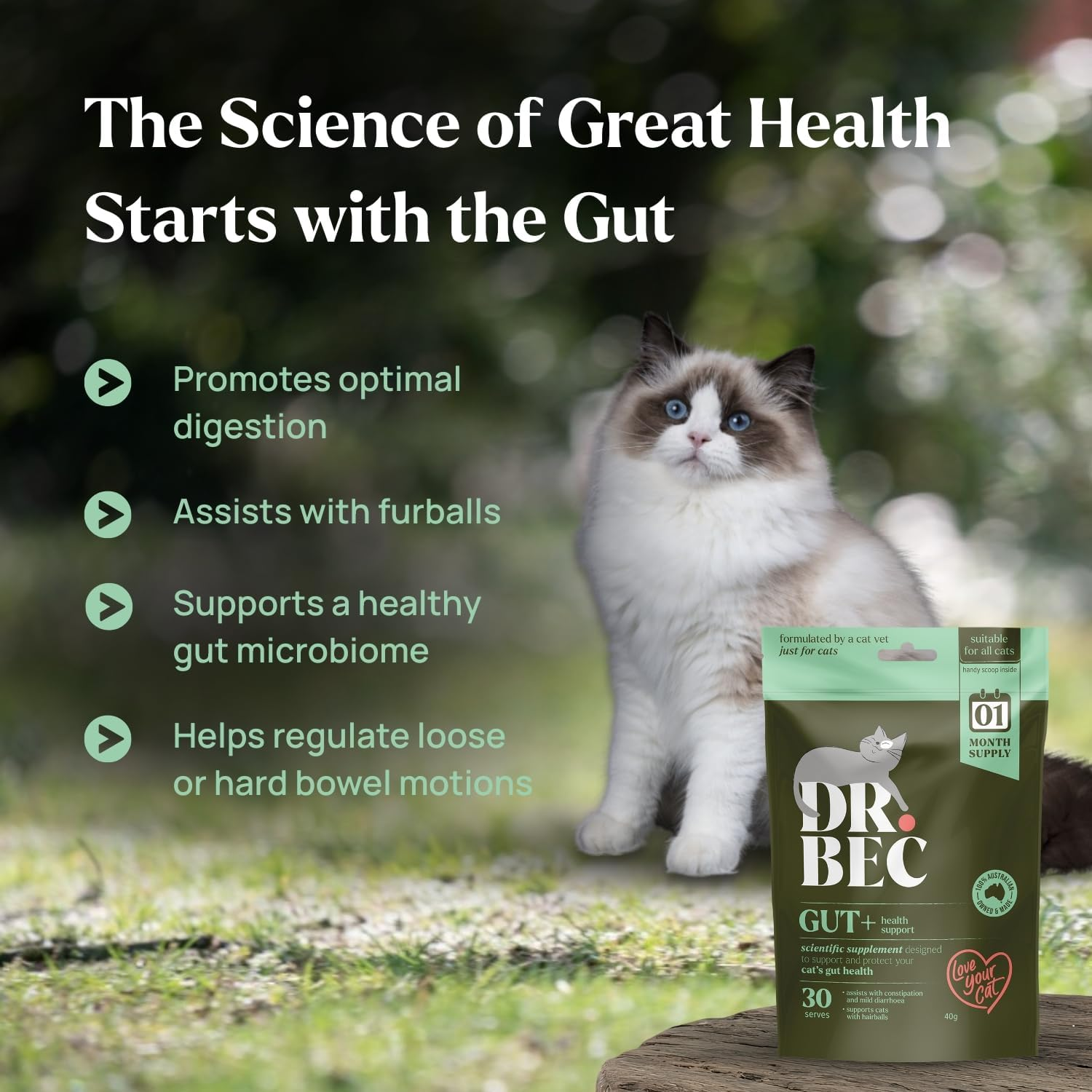 Dr Bec Gut+ Cat Supplement, with Prebiotics, Probiotics, Collagen and B12, Supports Digestive Health, Regular Digestion and Nutrient Absorption, Made in Australia, All Breeds and Ages image number 2