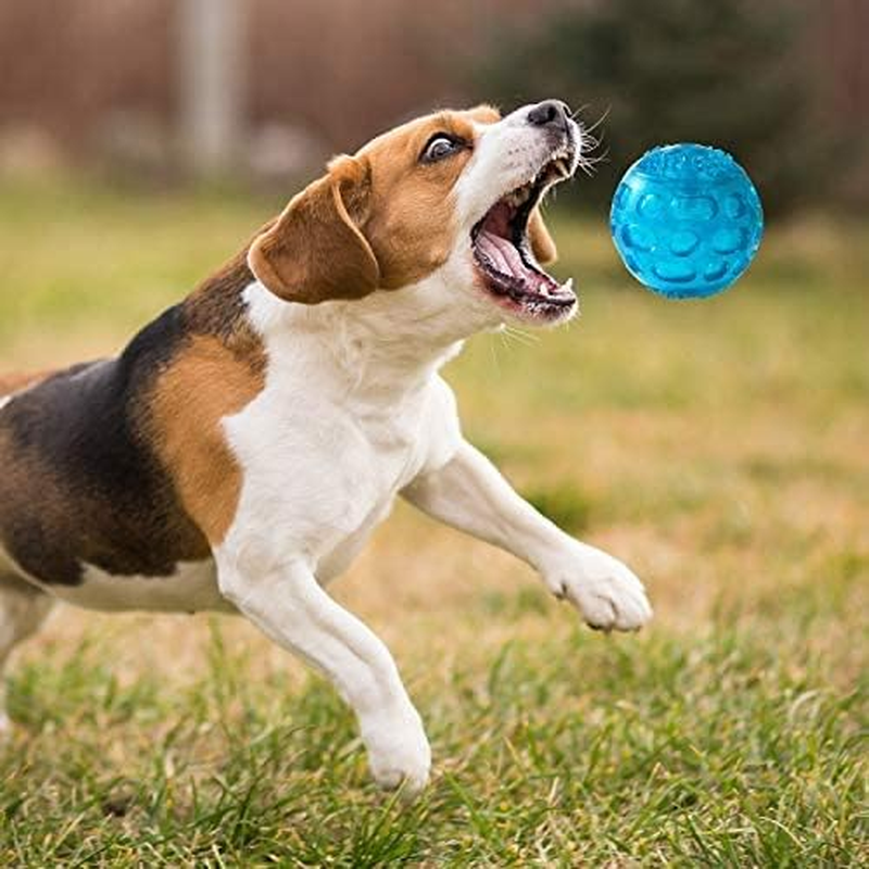 2 Packs Dog Ball Toys for Dog 3.2 Inches Indestructible Dog Fetch Ball Kong Squeaky Ball for Training Playing, Blue+Green - Green+Blue+Red image number 2