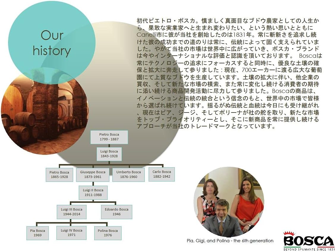 Bosca Verdi Raspberry Spark Wine 750 Ml image number 4