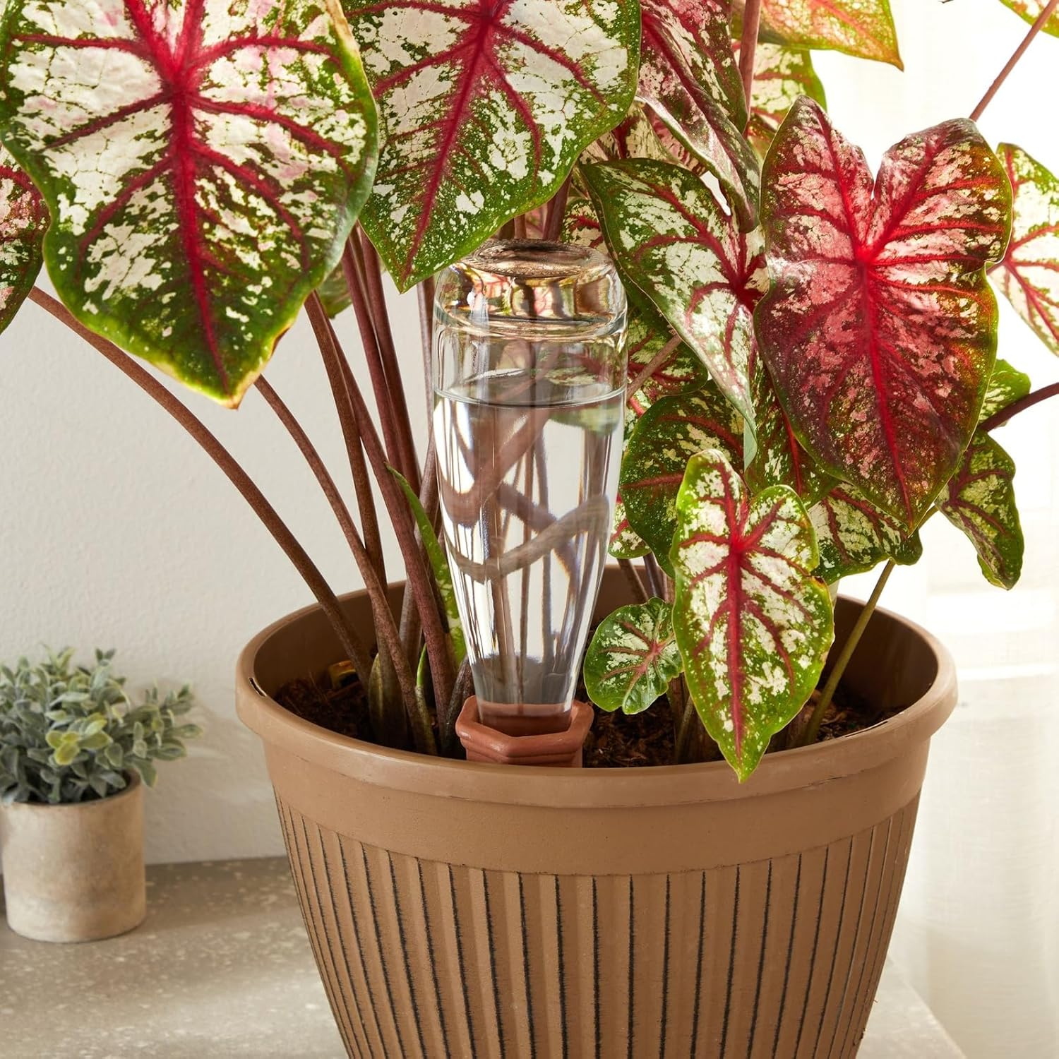 Juvale Self Watering Spikes - 6-Pack Terracotta Plant Watering Stakes, Automatic Slow Release Water Drippers for Indoor Outdoor Garden, Vacation Irrigation Device, Brown, 6.9 Inches Tall image number 6