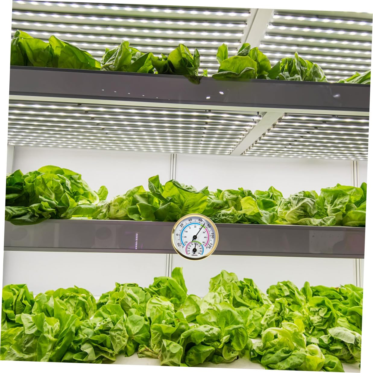 Hanging Thermometer Humidity Gauge for Indoor Outdoor Use Scale Mini Home Hygrometer for Wall Easy Installation Non-Deformable Design Suitable for Office Garden image number 3