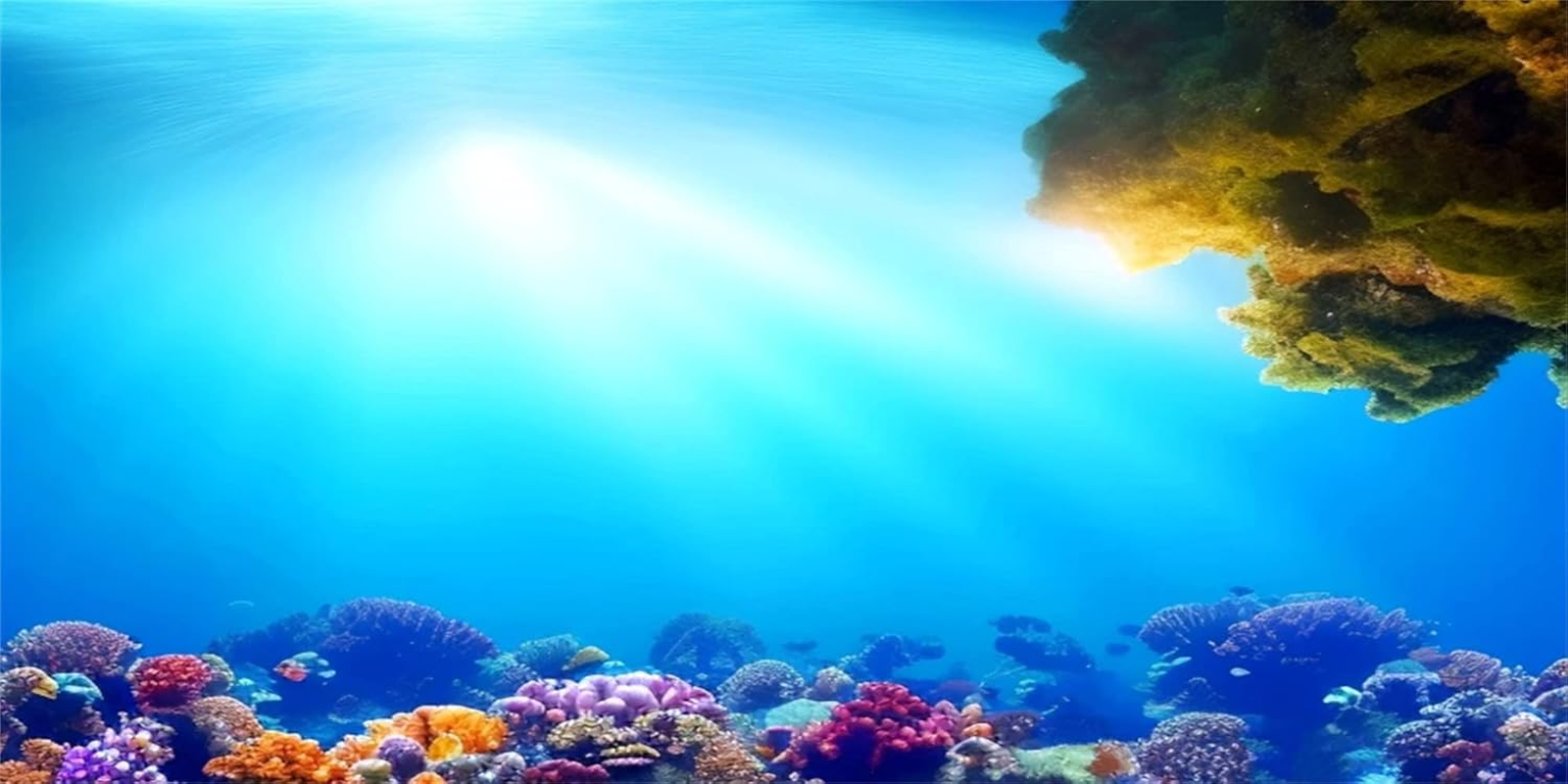 MIRRORANG 61 X 30 Cm Underwater Aquarium Background Sunshine Blue Sea Coral Reef Underwater World Aquarium Poster Background