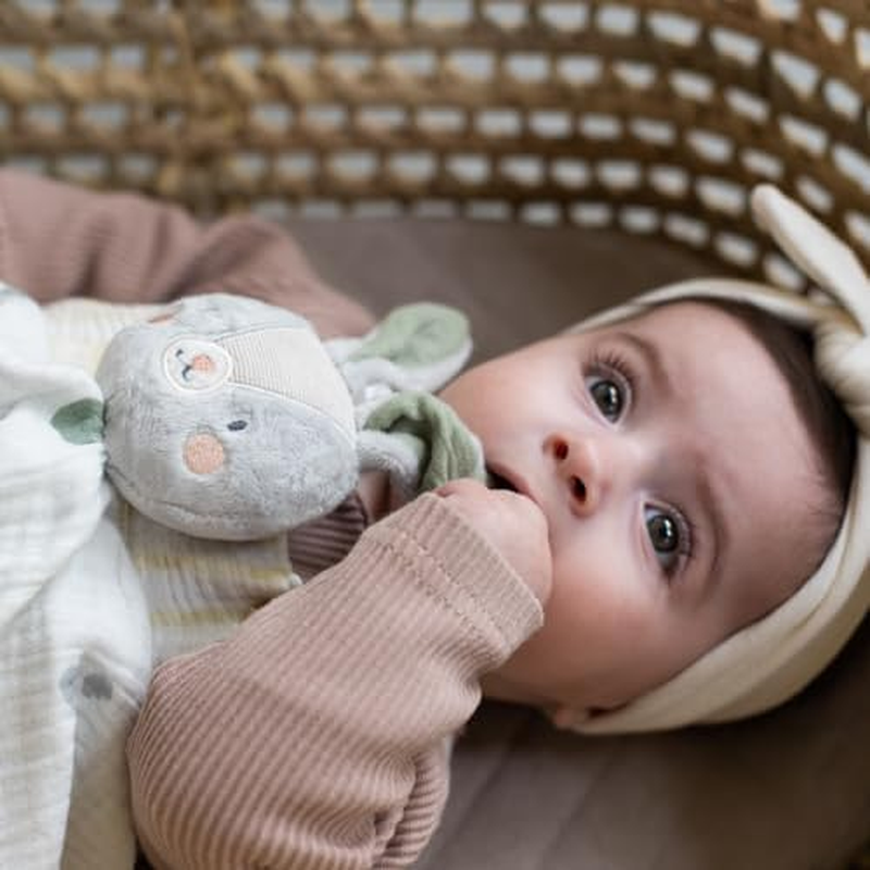 Taf Toys Rylee Bunny Blankie &ndash; 100% Soft Cotton Baby Comforter, Transitional Security Blanket for Newborns & Infants 0M+, Plush Bunny Lovey, Machine Washable, 36X20Cm image number 3