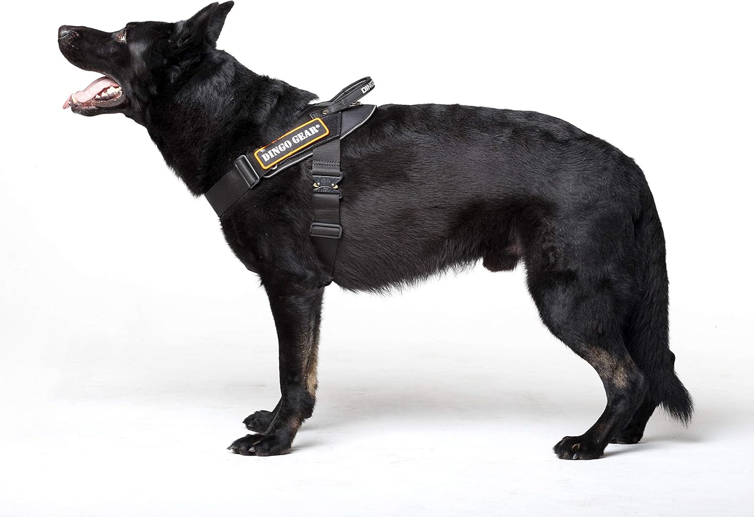 Dingo Gear Multifunctional Harness for Dog in Work, Guard Dog Training, K9 and Ipo, Cobra System Handmade Black S03197, XL image number 2