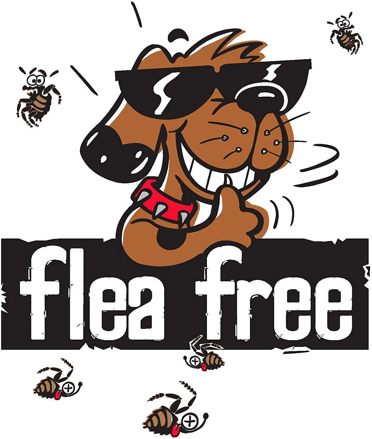 Flea Free Elevated Dog Bed (Medium) 106X63X15Cm / Black/The Original Fleafree Brand image number 6