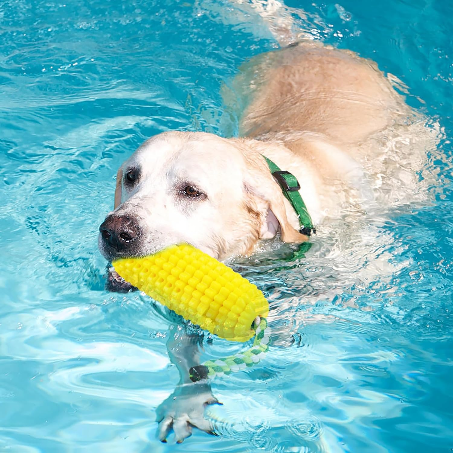 Mplehda Chew Toy for Dogs, Indestructible Squeaky Dog Toy for Aggressive Chewers, Squeaky Dog Toy for Puppies, Medium and Large, Rubber Corn Sticks Dog Toys image number 5