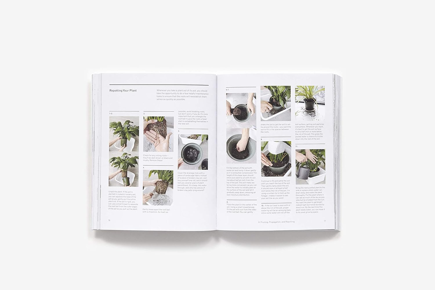 The New Plant Parent: Develop Your Green Thumb and Care for Your House Plant Family image number 3