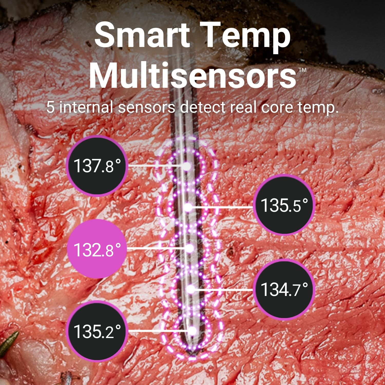 [New] MEATER 2 Plus: Direct Heat Grilling at 550&deg;C, Smart Meat Thermometer, Long Bluetooth Range, 100% Waterproof, Precision Cooking, Multi Sensors, Certified Calibration, for Bbq/Grill/Kitchen