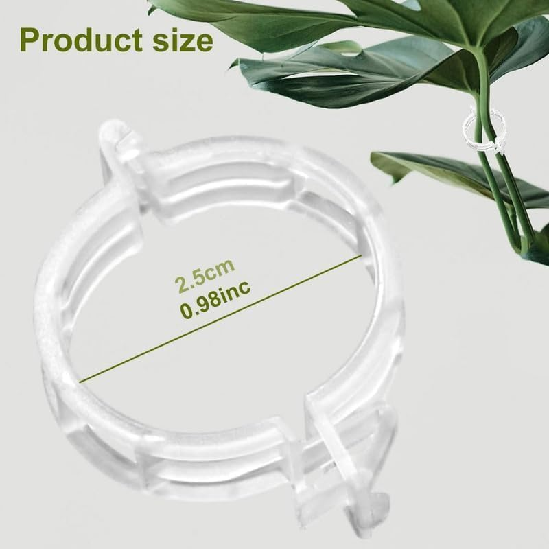 Secured Plastic Plant Clip, Plant Support Clips Reusable Garden Clips, Plastic Trellis Clips Plant Support Clips Tomato Grape Vine Vegetables Plant Fixing Clips (Green - 100Pcs) - Black - 100Pcs image number 2