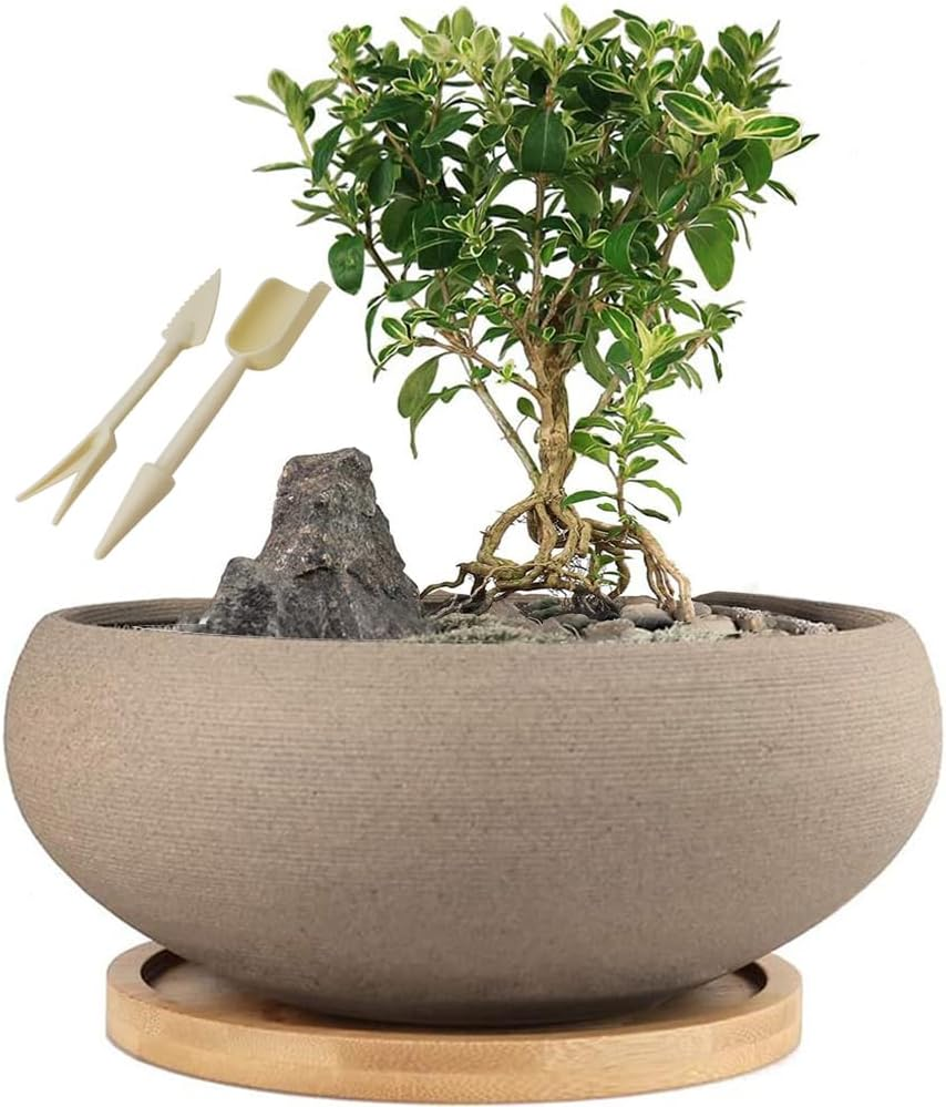MUZHI round Unglazed Ceramic Bonsai Pot with Bamboo Tray, Large Rough Pottery Succulent Planter with Drainage Hole 8 Inch &hellip; image number 6