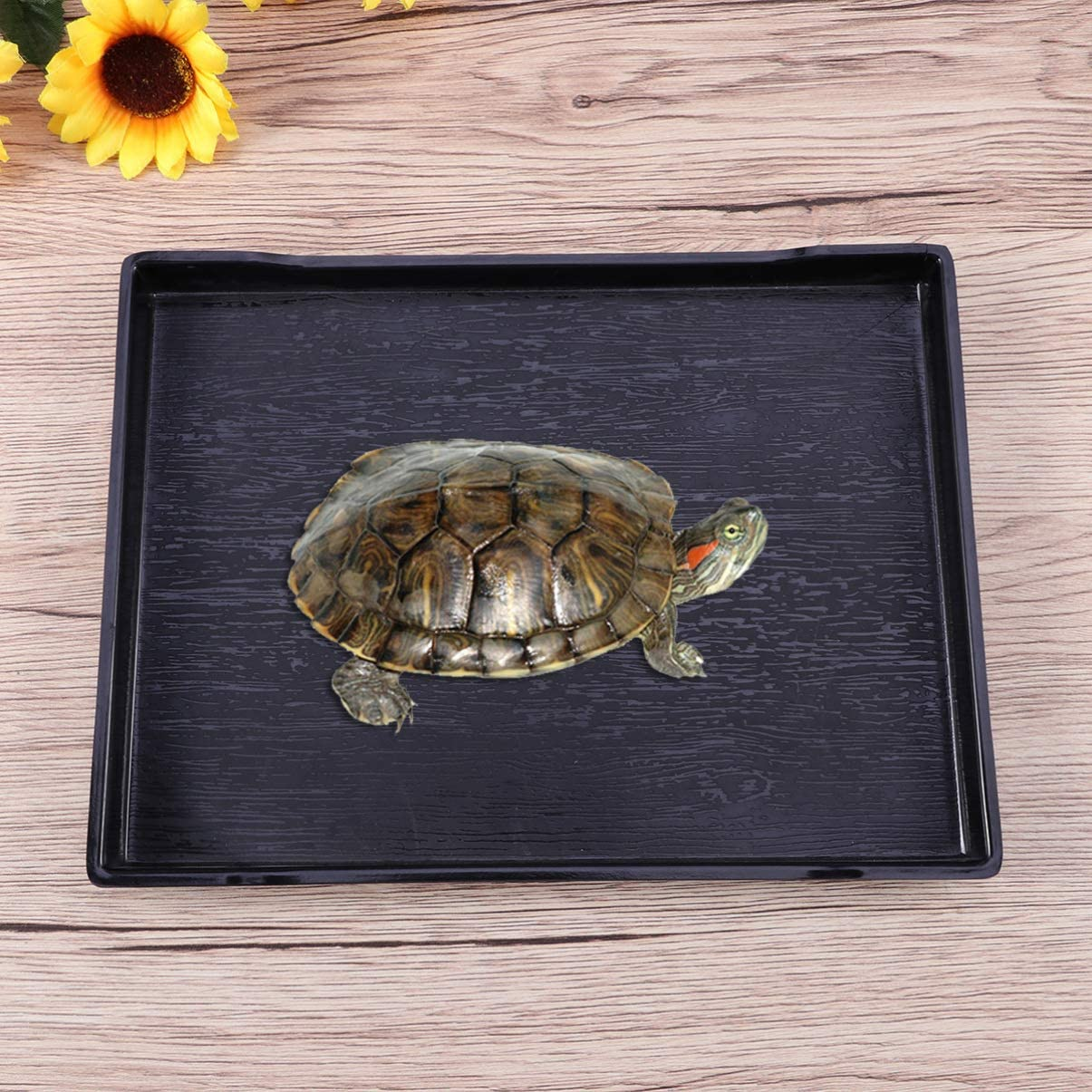 TEHAUX Reptile Food Bowl, Tortoise Large Food & Water Dish Reptile Large Plate Basking Platform Fits for Feed Bath (Black, 24.5 * 18 * 2Cm) image number 1