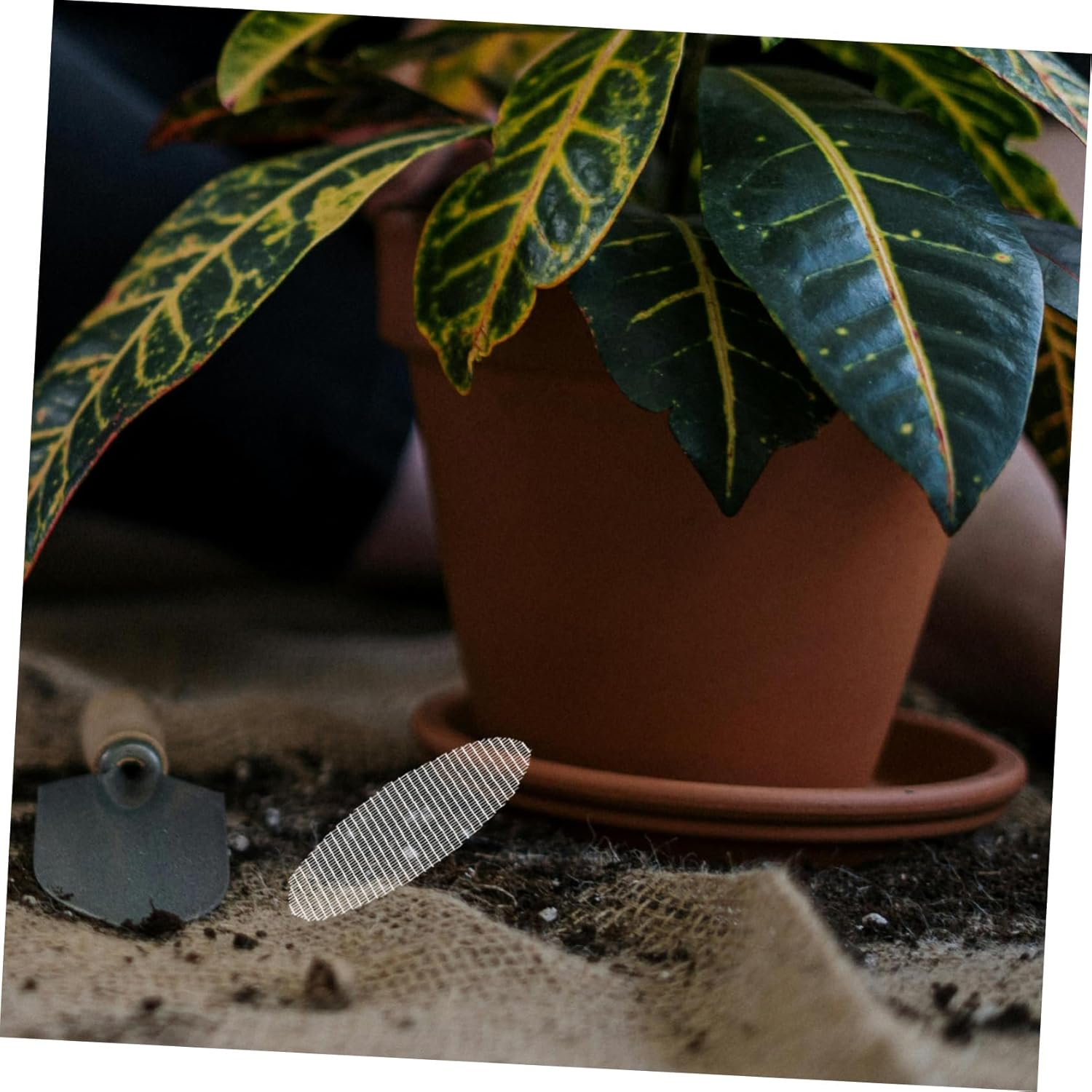 BEBEMOKO 20Pcs Screen Mesh Drainage Gasket for Plant Pots Indoor Outdoor Pot Hole Mesh Pads for Gardening Accessory image number 3