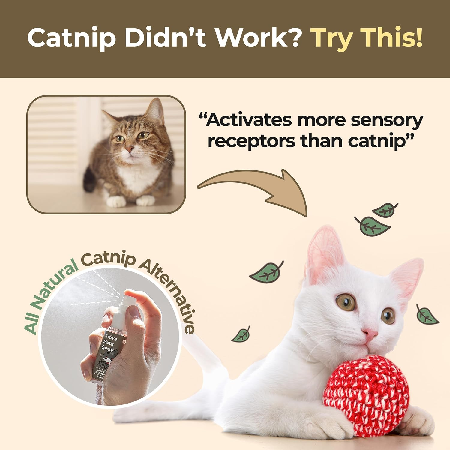 JAYU PET Active MATA Spray &ndash; 100% Natural Silvervine for Cats, Liquid Catnip Alternative, Calming Spray for Indoor Kittens, Boosts Play & Engagement, Reduces Stress on Toys, Scratchers (30Ml) image number 5