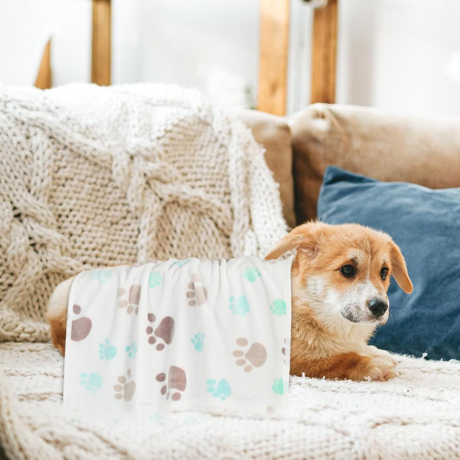 3Pcs Guinea Pig Blankets Small Animal Flannel Guinea Pig Cage Liners,Small Pet Sleep Blankets,Soft Puppy Sleep Blankets Small Puppy Sleep Blankets,Puppy Blankets Soft Warm Sleep Mat Puppy Blankets image number 3