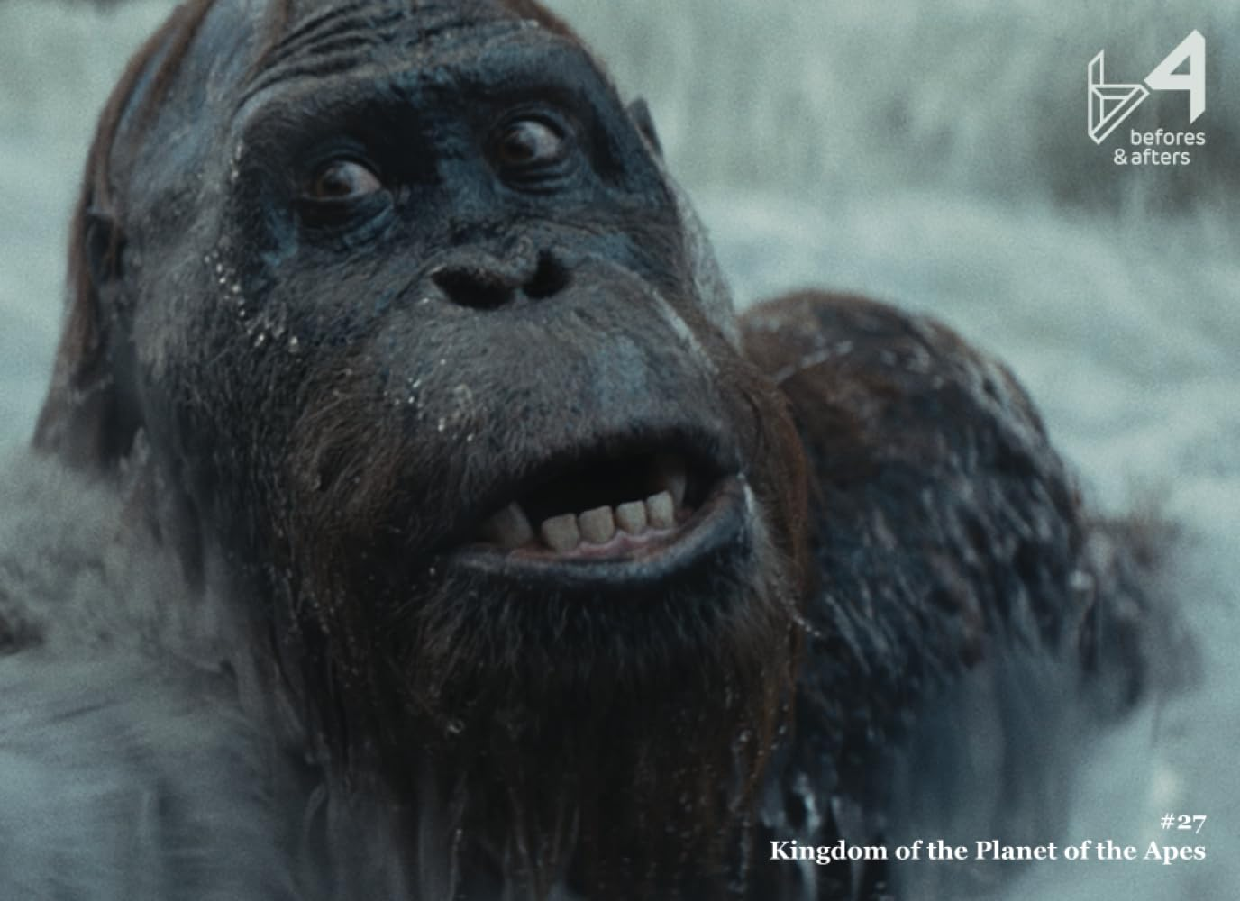 Befores & Afters - #27 - Kingdom of the Planet of the Apes image number 1