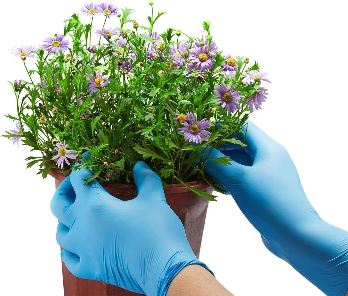 ZOMCHAIN Nitrile Gloves Kids Gloves Disposable, Nitrile Gloves for 4-10 Years - Latex Free, Food Grade, Powder Free - for Kids Festival Preparation, Crafting, Painting, Gardening, Cooking, Cleaning