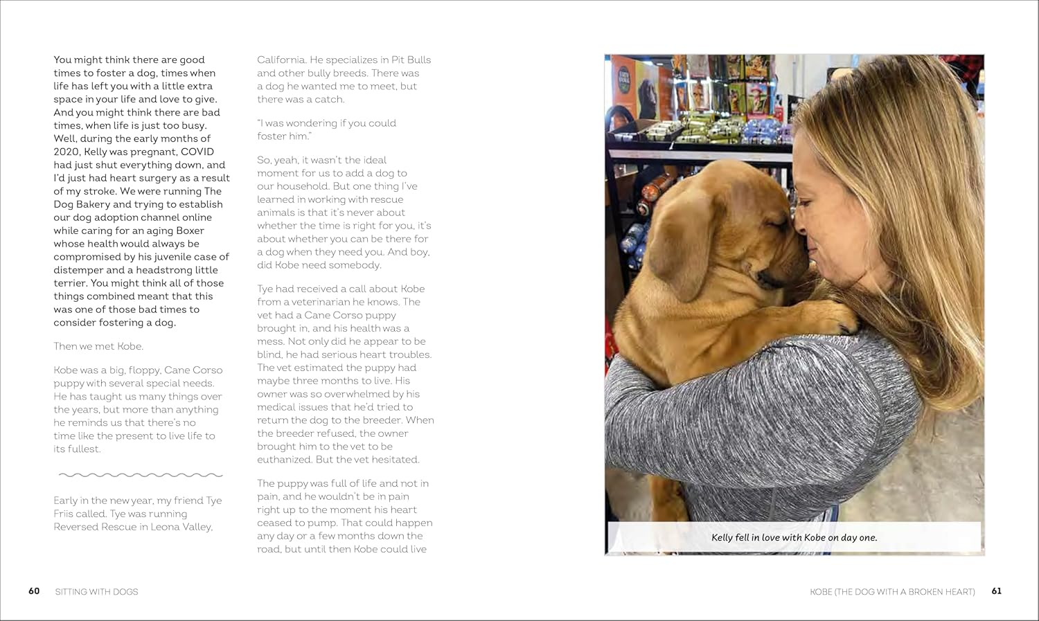 Sitting with Dogs: Stories of Rescue Dogs Going from Lost to Loved image number 4