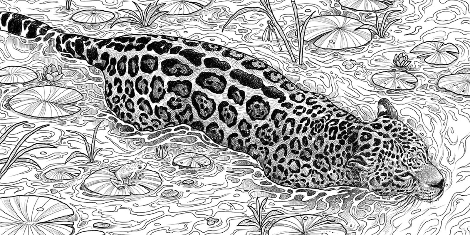 Fragile World: Colour Nature'S Wonders: Volume 2 image number 2