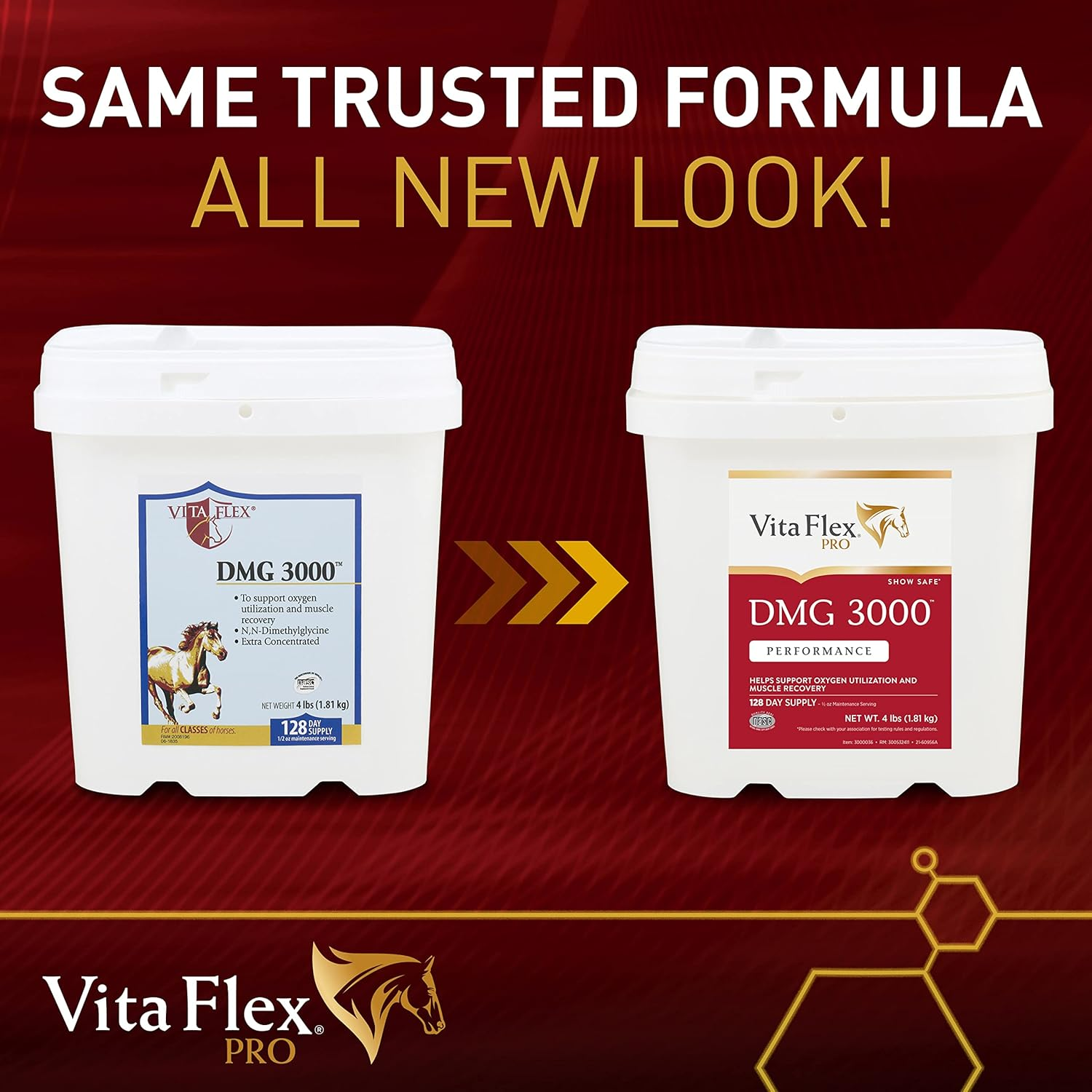 Vita Flex Pro DMG 3000 Horse DMG Concentrate, 4 Pounds, 128-Day Supply image number 4