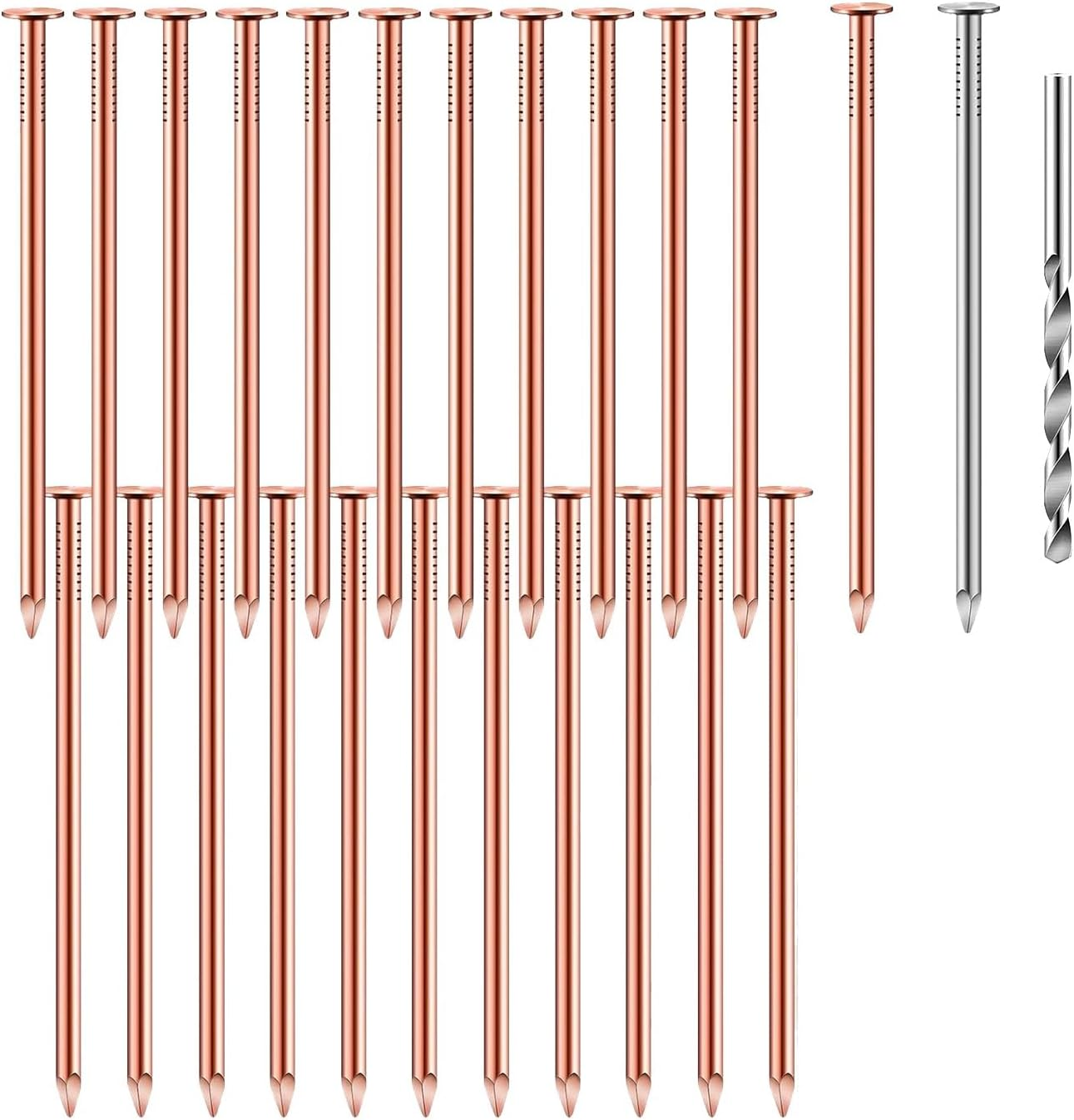 Zicojia 3.5 Inch Pure Copper Nails Bulk Stump Removal Spikes Hardware Nails for Trees 25Piece image number 3