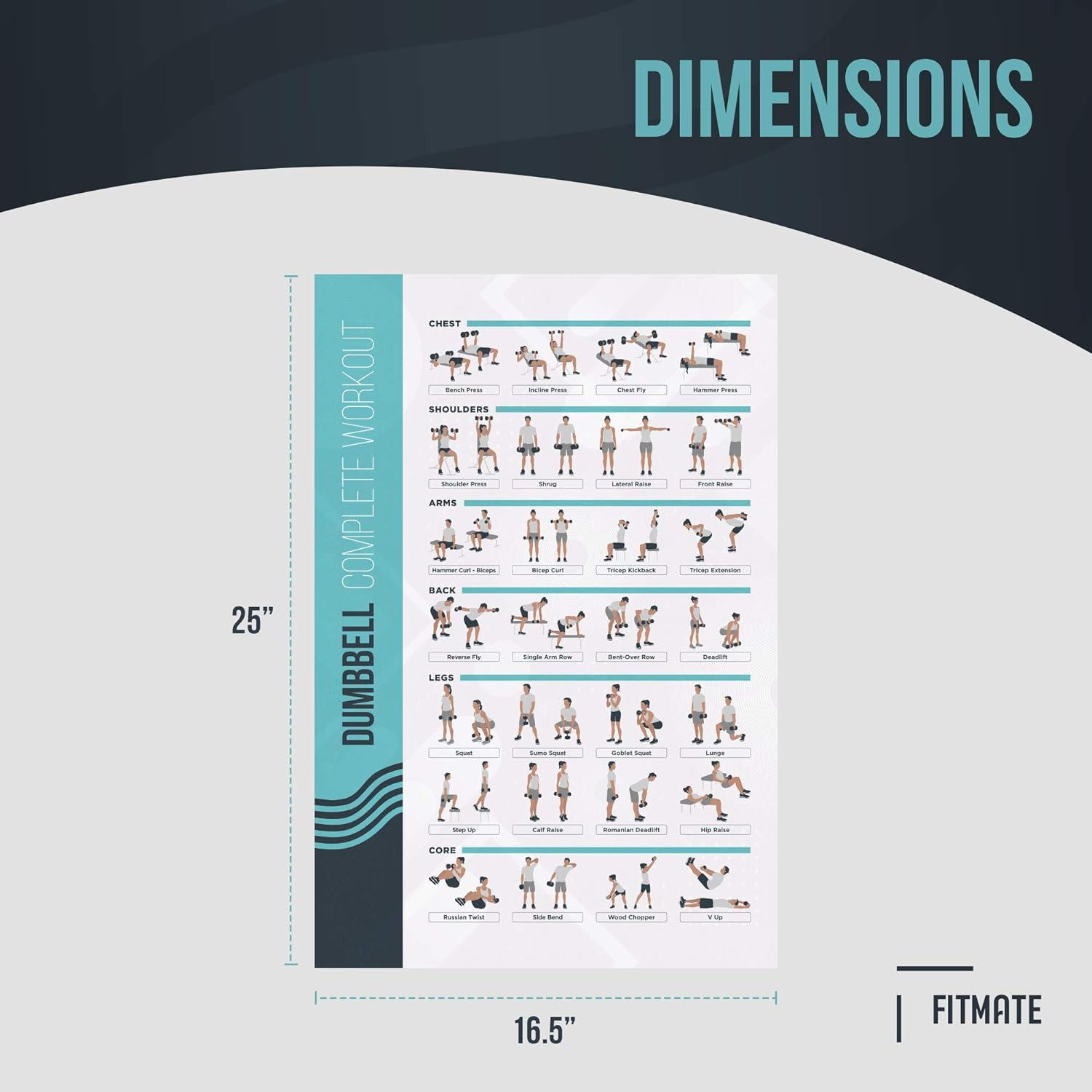 Fitmate Dumbbell Workout Exercise Poster - Workout Routine with Free Weights, Home Gym Decor, Room Guide (16.5 X 25 Inch)