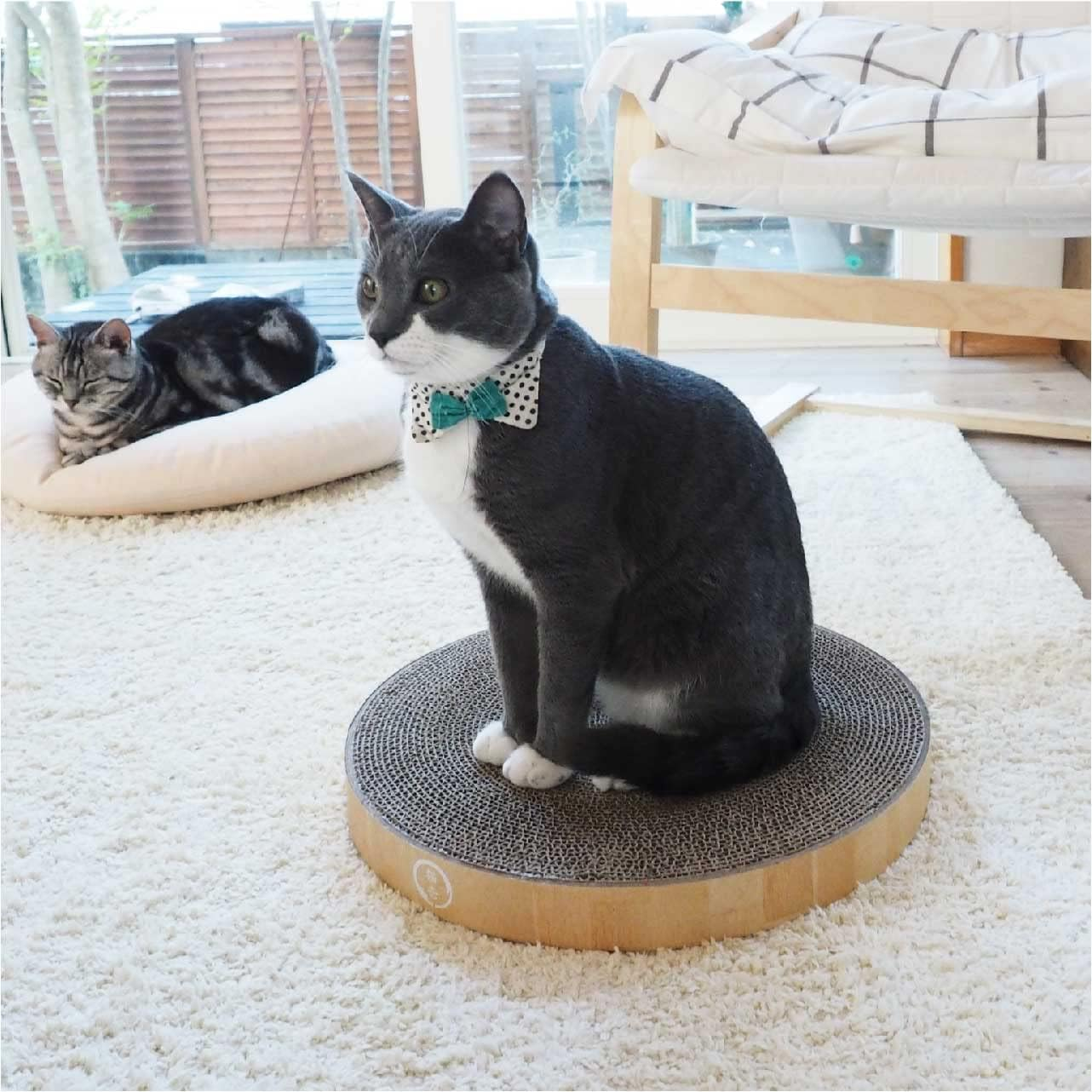 Necoichi Cozy Cat Scratcher Bowl (Pad2P) image number 2