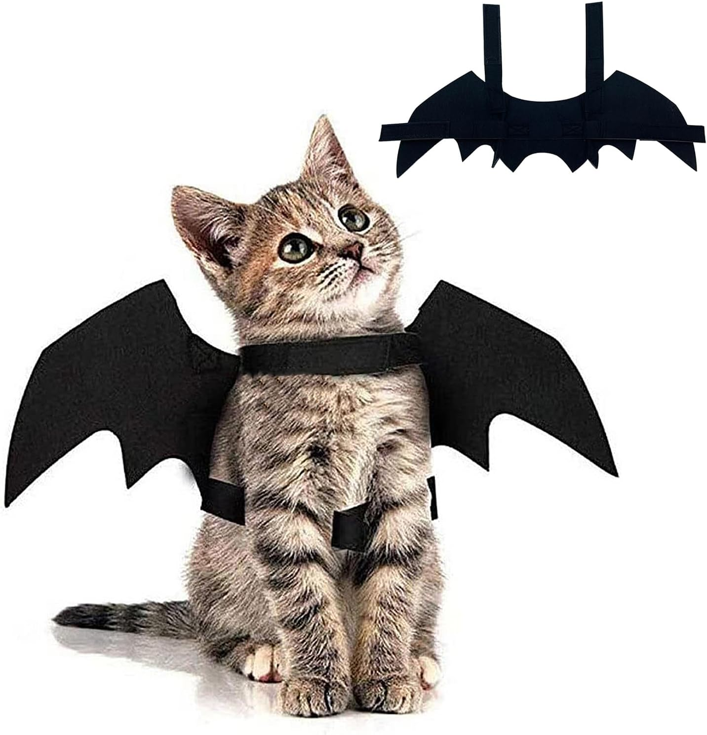 Pet Cat Bat Wings for Halloween Party, Thanksgiving Costume for Cats and Dogs, Puppy Collar Leads Cosplay, Wings for Pet Costume image number 3