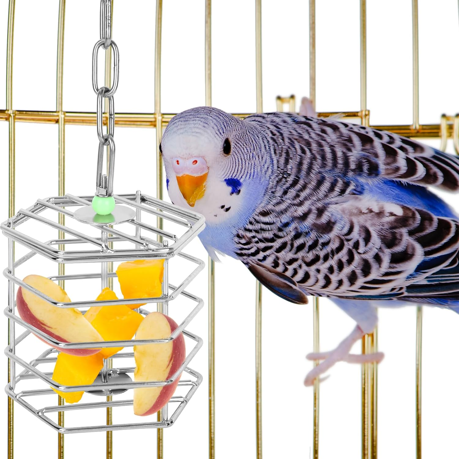 Stainless Steel Bird Feeder Cage with Chain & Bead, Hanging Bird Food Holder Intelligent Feeding Box Millet Treat Holder for Macaw Cockatoo Cockatiel Parrot image number 4