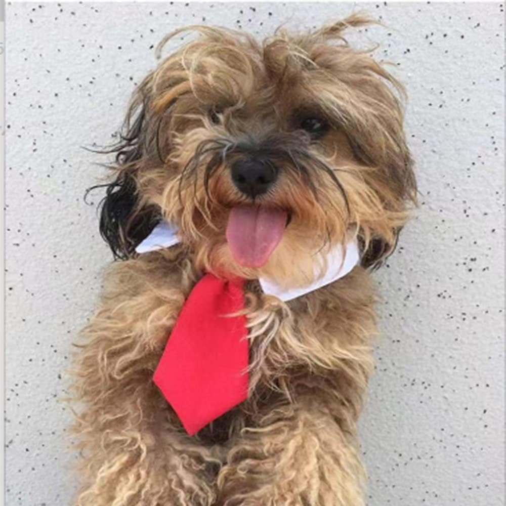 Dog Bow Tie, Gofunway Cat Formal Dog Wedding Attire White Puppy Collar Adjustable White Dog Tuxedo Collar with Black Dogs Neckties Pet Tuxedo Costume for Cats (Red, Small) image number 2