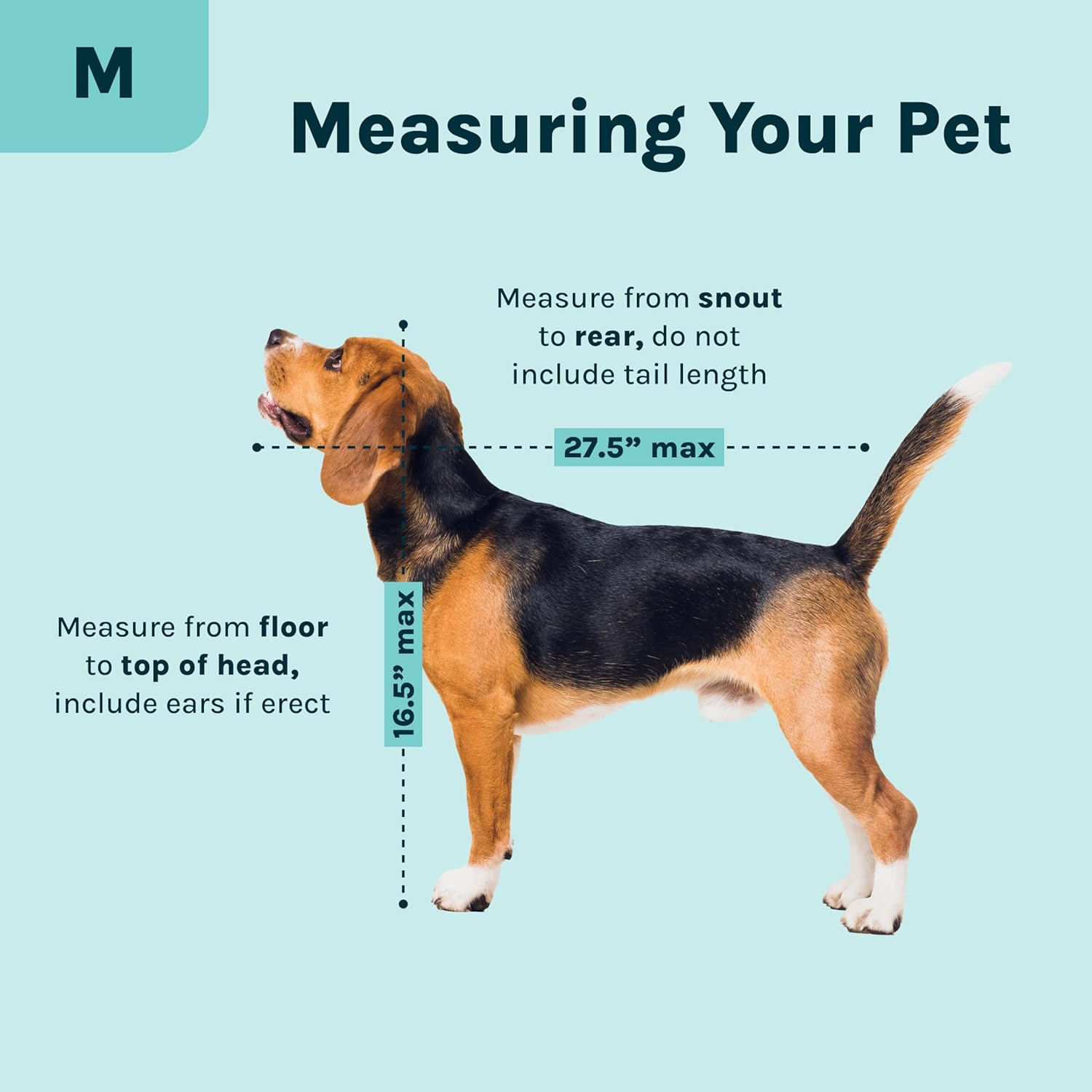 Sportpet Designs Large Pop Open Kennel, Portable Cat Cage Kennel, Waterproof Pet Bed, Carrier Collection image number 5