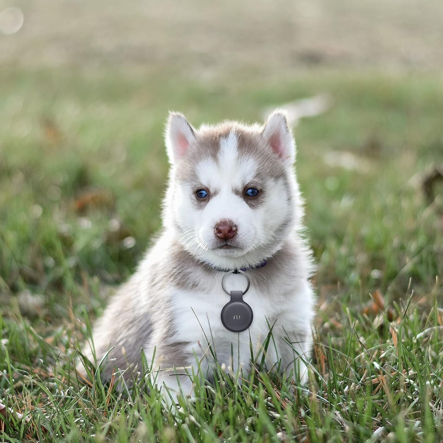 Nereides Leather Case for Airtag 2021, Protective Airtags Case Cover with Keychain Anti-Scratch Tracker Holder for Car Key/Pet/Cat/Dog (Grey) - Black image number 6