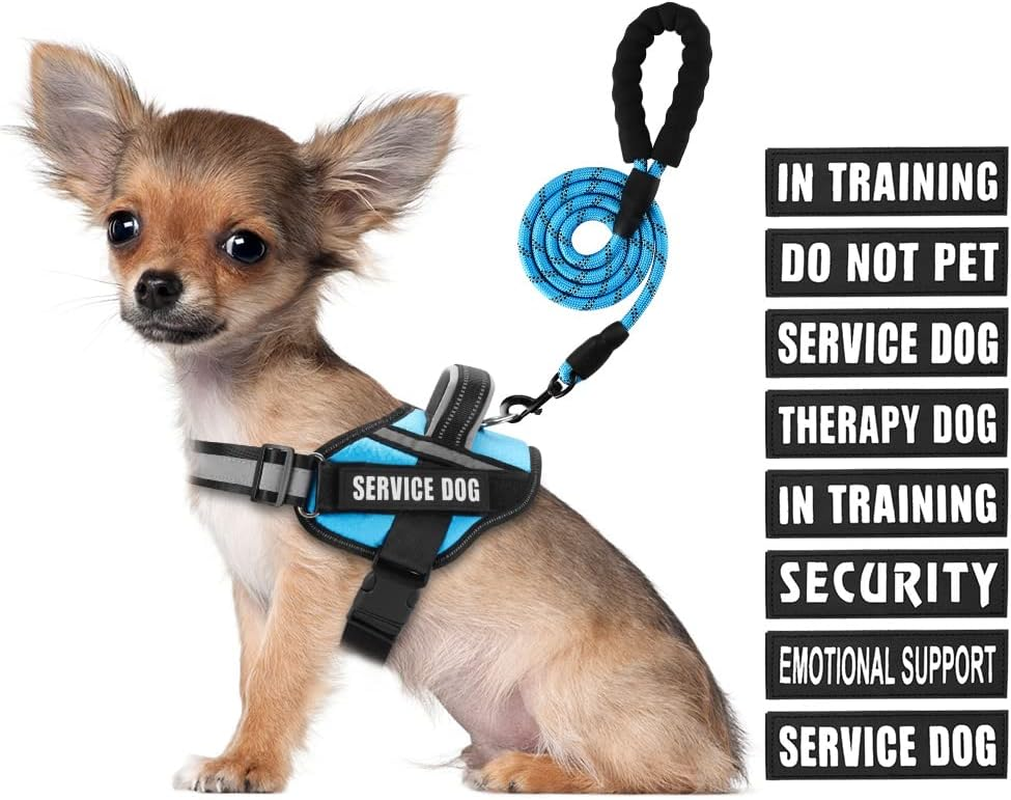 Service Dog Vest Harness and Leash Set, Animire in Training Dog Harness with 9 Dog Patches, Reflective Dog Leash with Soft Padded Handle for Small, Medium, Large, and Extra-Large Dogs (RED,XL) Pink