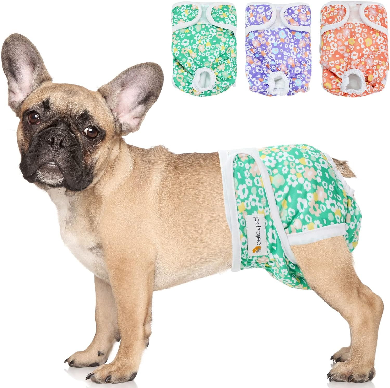 BELLA & PAL Washable Dog Diapers Female, 3 Pack Highly Absorbent Dog Diapers for Small Dogs, Leak-Proof Puppy Diapers for Female Dog in Heat, Period (XS (7-10" Waist), Pink& Purple& Green) - S (10 - 14" Waist), Natural Joy