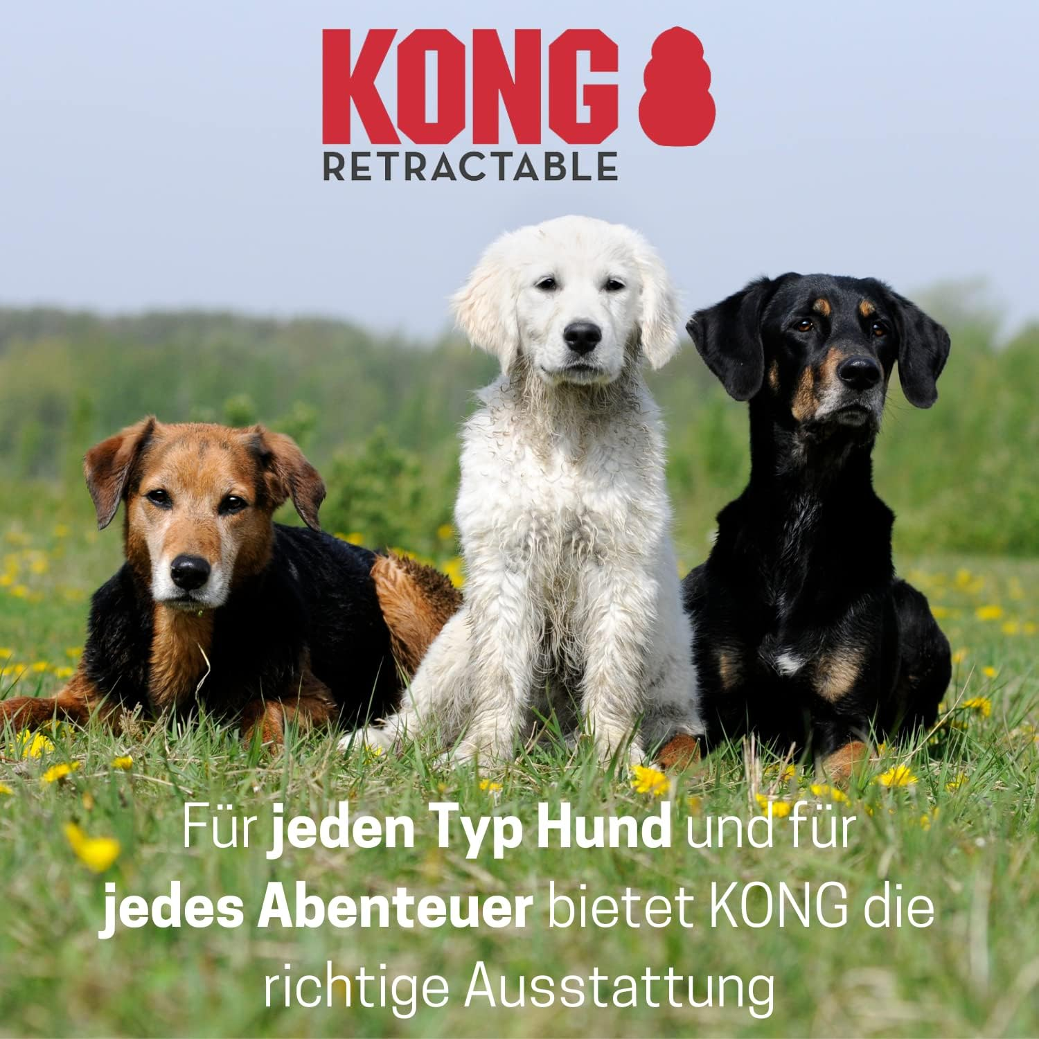 KONG Retractable Dog Lead in 5 M Length, for Large Dogs up to 50 Kg, Size L, High-Quality Roller Lead in Black with Break & Lock System, Lightweight and Compact Lead