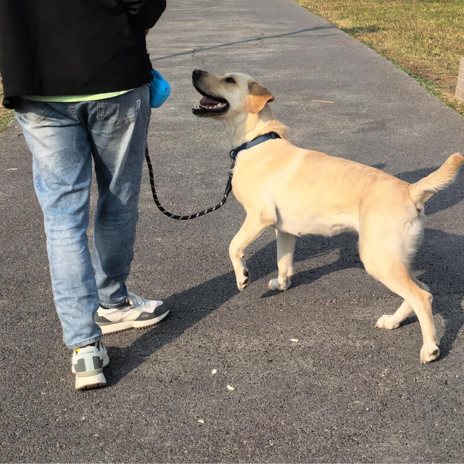 ZALER Rope Dog Leash, 4/5/6/10/15/20/30/50 Foot Reflective Dog Leashes with Carabiner, Heavy Duty Pet Lead for Large and Medium Dogs (4FT, Black) image number 2