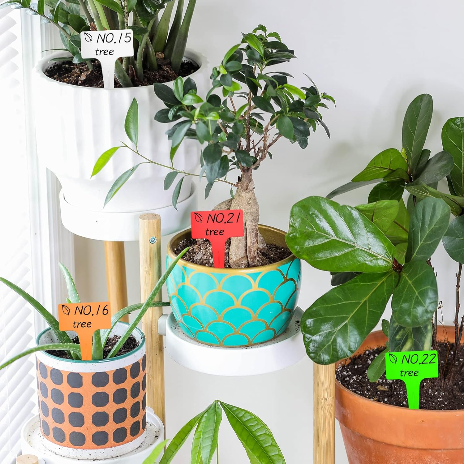 100Pcs T-Type Plant Tags，Waterproof Thick Plastic Plant Makers，6 X10Cm Nursery Garden Labels(Multicolor) (SZ-BC610T) image number 4