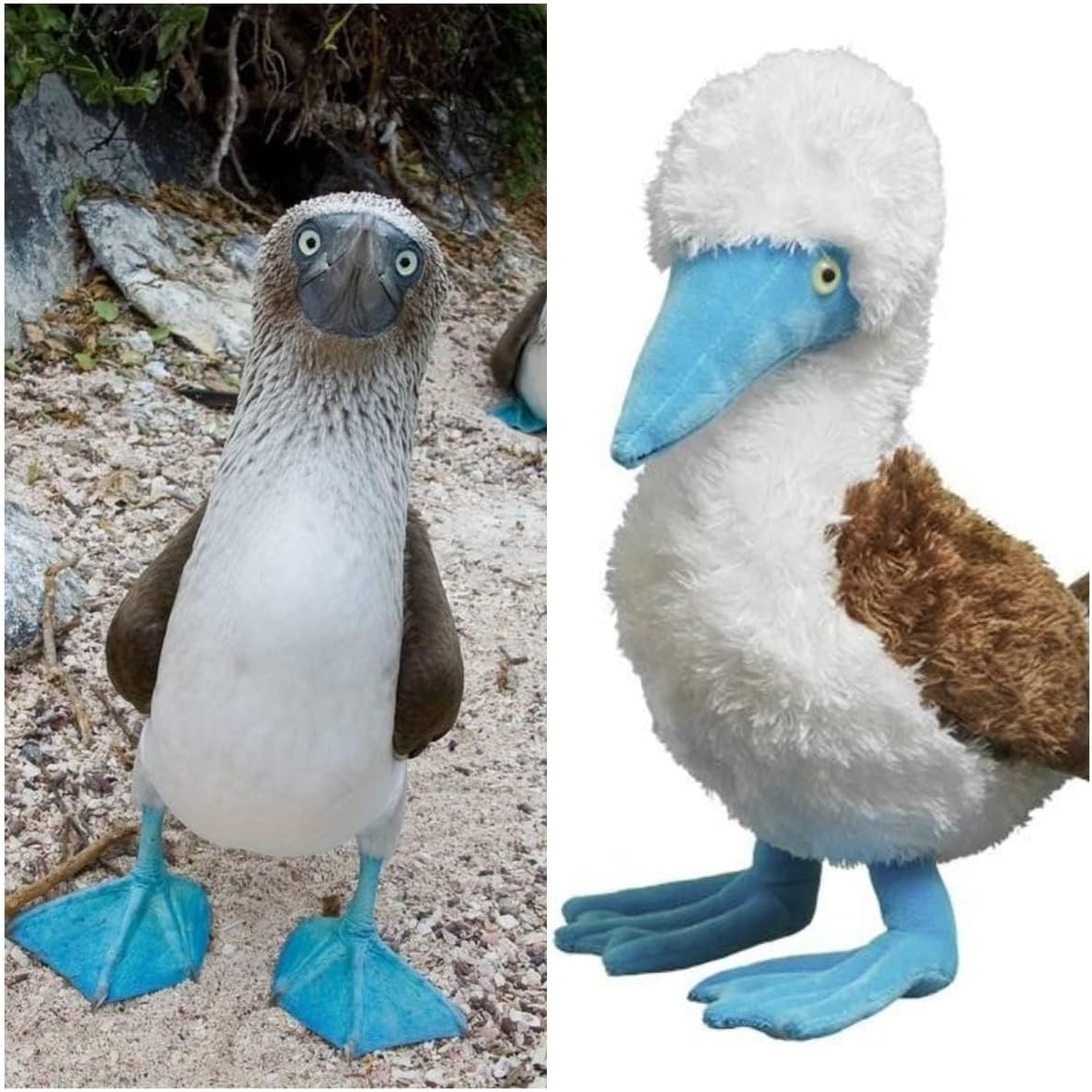 Tiny Heart Simulation Blue Footed Booby Plush Toy, 10.62Inch Super Soft and Cute Blue Footed Booby Stuffed Animal Toys Fun Kids Gift Home Decor image number 3