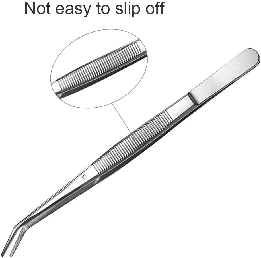 Dental Instruments London College Tweezers &ndash; Stainless Steel Tweezer with Curved Tip (15 Cm) &ndash; by DMX INTL (Pack of 2)