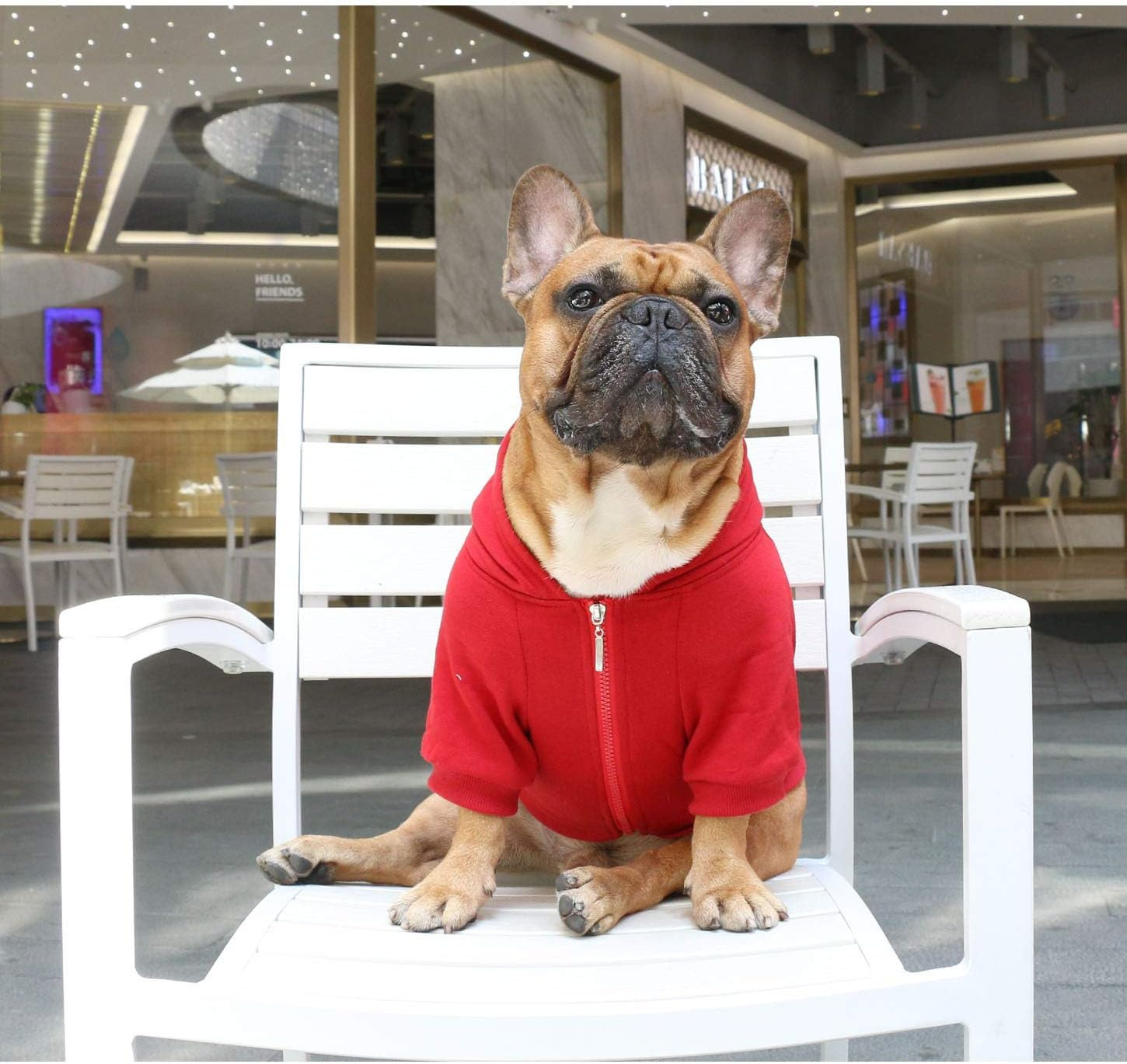 Ichoue Dog Half Zipper Hoodie Clothes Sweatshirt image number 4