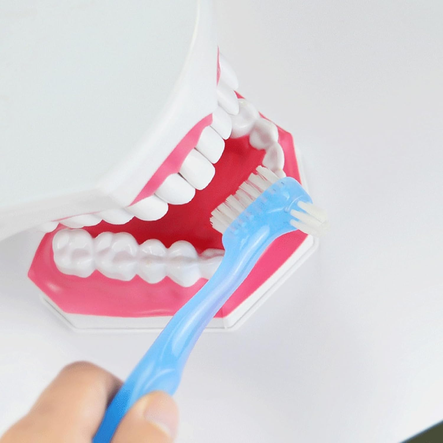 Denture Toothbrush with Dual Heads, 4Pcs Hard Denture Brush Double Sided Toothbrush, Dual Head Denture Toothbrush with Hard Bristles